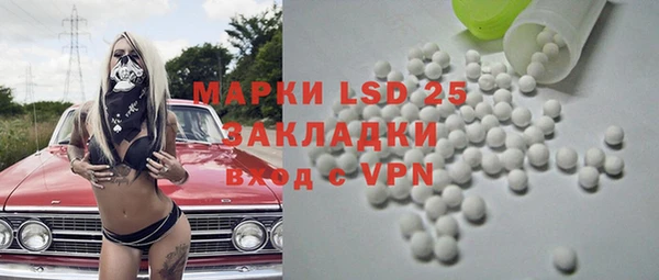 ПСИЛОЦИБИНОВЫЕ ГРИБЫ Горнозаводск