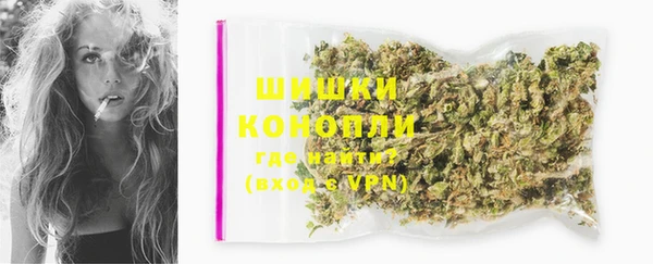 ПСИЛОЦИБИНОВЫЕ ГРИБЫ Горнозаводск